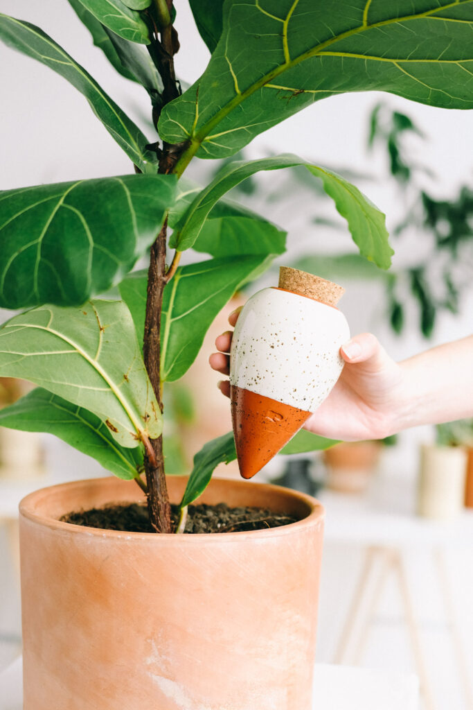 Pepin, une marque pour arroser vos plantes autrement.