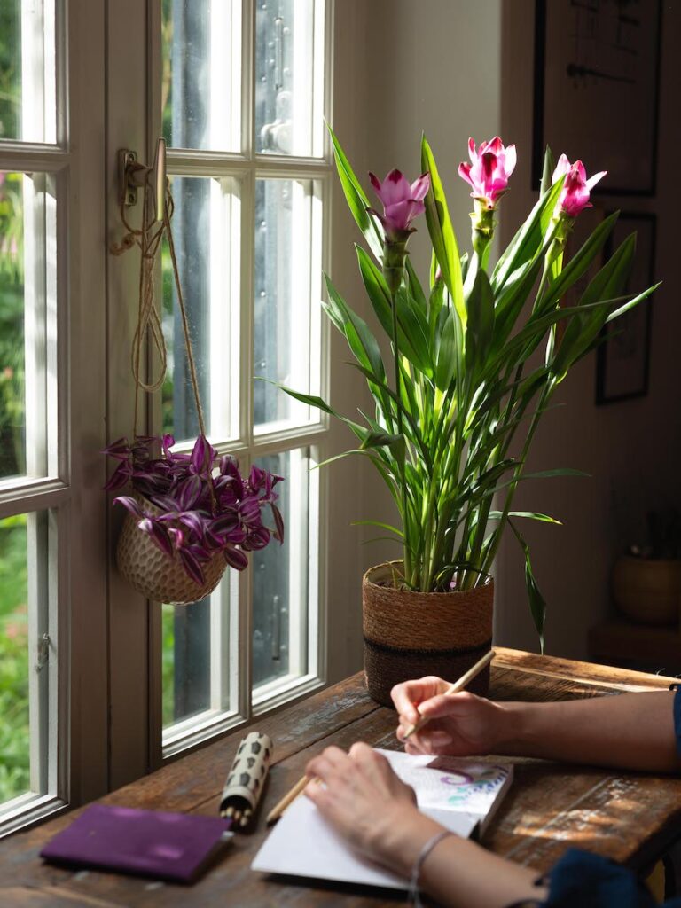 Truffaut, l'expert du jardinage.