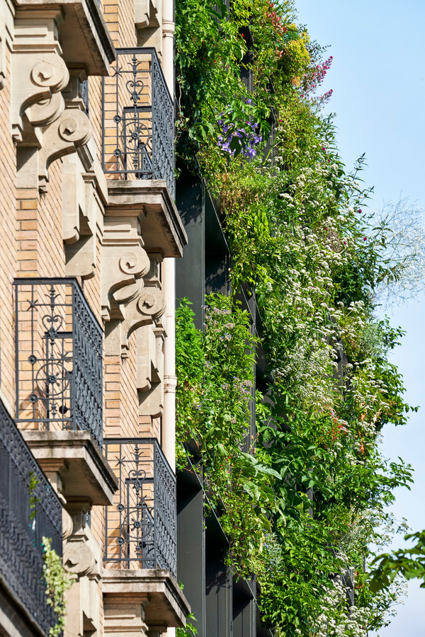 Villa M : un bâtiment entre nature, santé et innovation à Paris