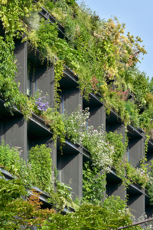 Villa M : un bâtiment entre nature, santé et innovation à Paris